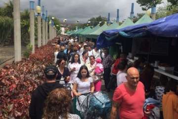 Día de Canarias en Telde, en imágenes (II) (Foto TA e Ildefonso Rodríguez)